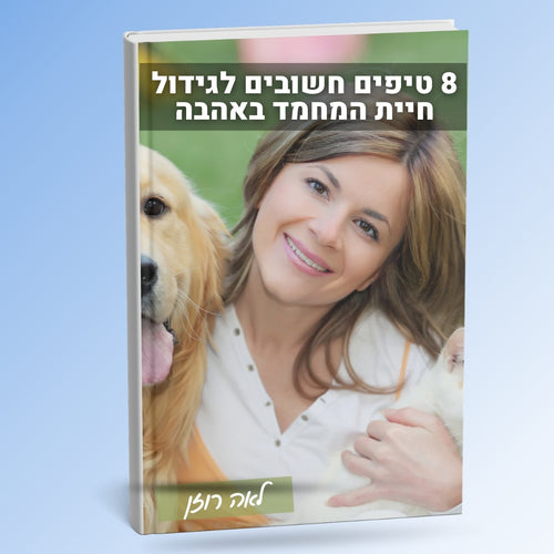 ספר דיגיטלי במתנה