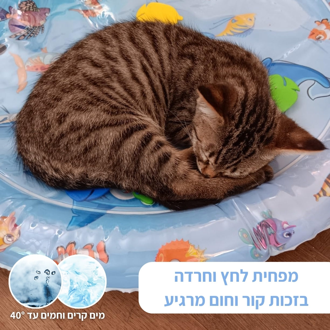 מחצלת המשחק האינטרקטיבית
