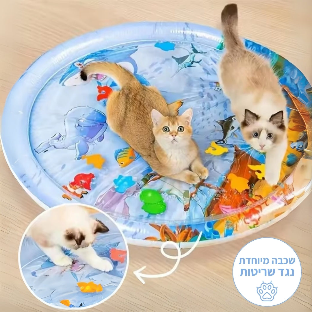 מחצלת המשחק האינטרקטיבית