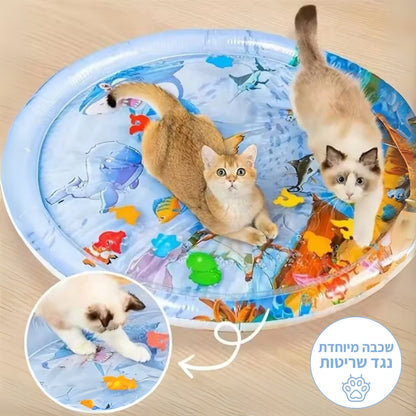 מחצלת המשחק האינטרקטיבית