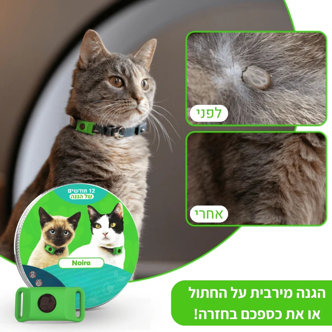 תליון טבעי ל-12 חודשים של הגנה בפני פרעושים וקרציות לחתולים