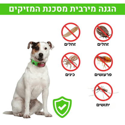 תליון טבעי ל-12 חודשים של הגנה בפני פרעושים וקרציות