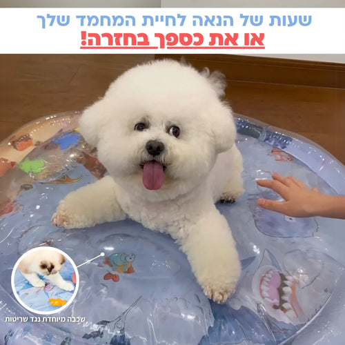 מחצלת המשחק האינטרקטיבית