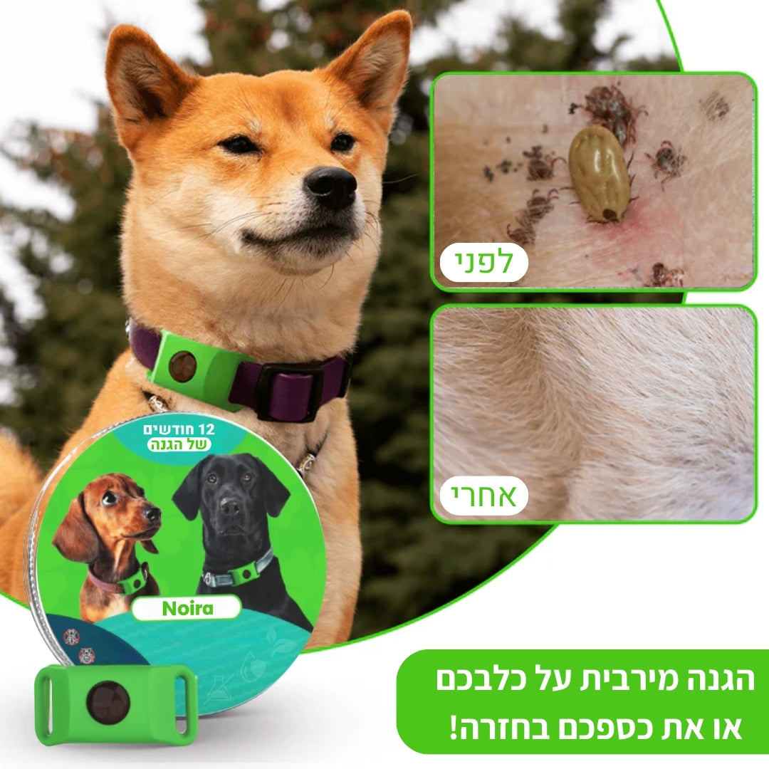 תליון טבעי ל-12 חודשים של הגנה בפני פרעושים וקרציות